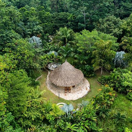 One Santuario Natural بالومينو المظهر الخارجي الصورة
