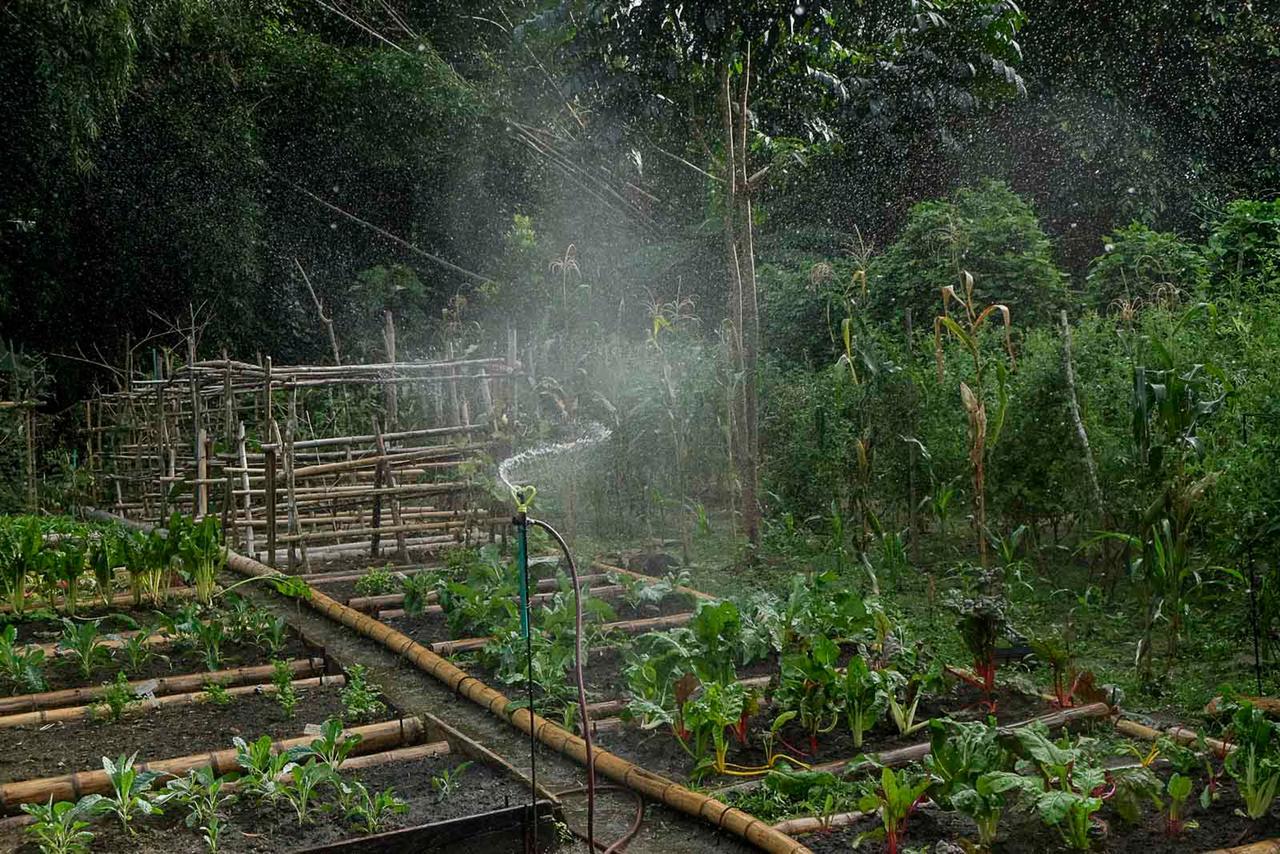 One Santuario Natural بالومينو المظهر الخارجي الصورة